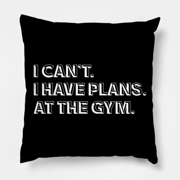 Funny Gym Pillow by Nifty T Shirts