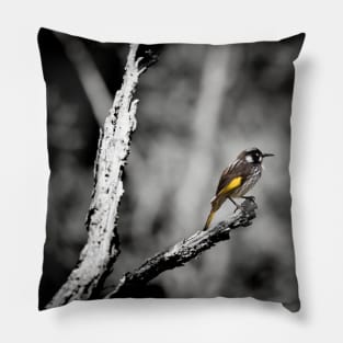 New Holland Honeyeater_VOA4033A Pillow