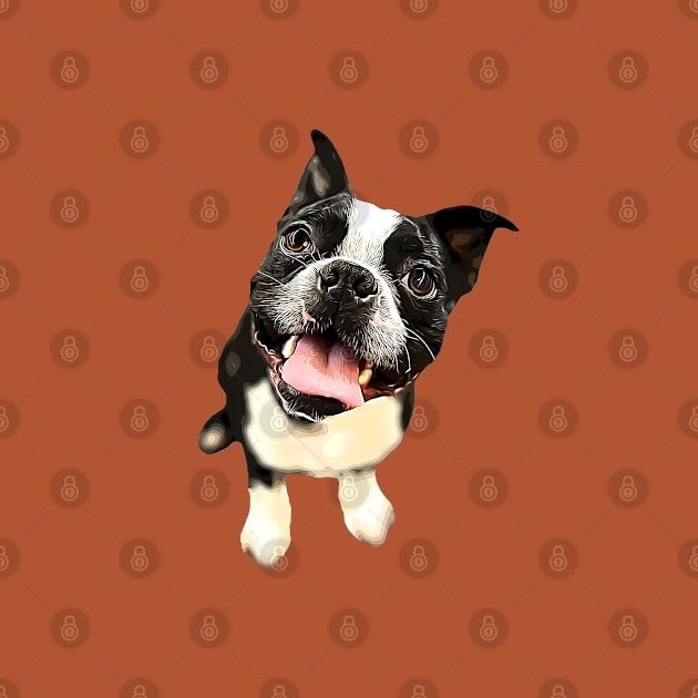 Boston Terrier Cute Dog by ElegantCat