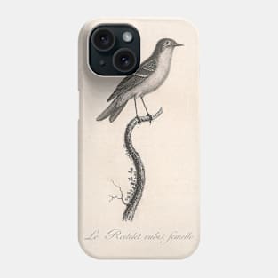 Female Ruby Kinglet Phone Case