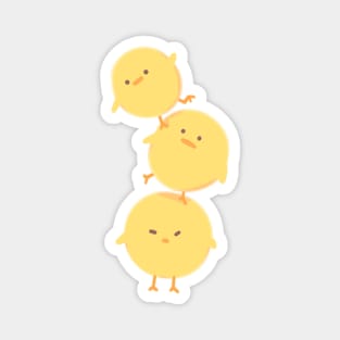 Chicks Magnet