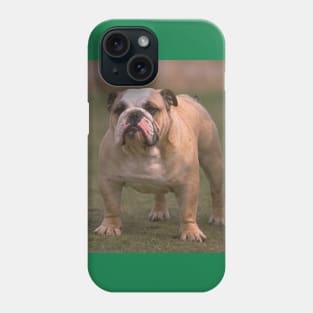 Bulldog fawn and white second Phone Case