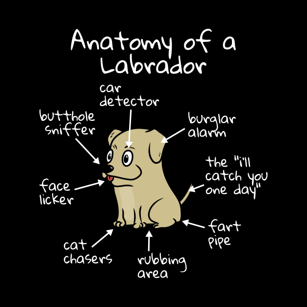 The Anatomy of a Labrador by blacklines