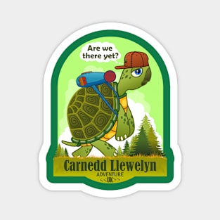 Funny Turtle, Carnedd Llewelyn Mountain, United Kingdom, Are We There Yet Magnet