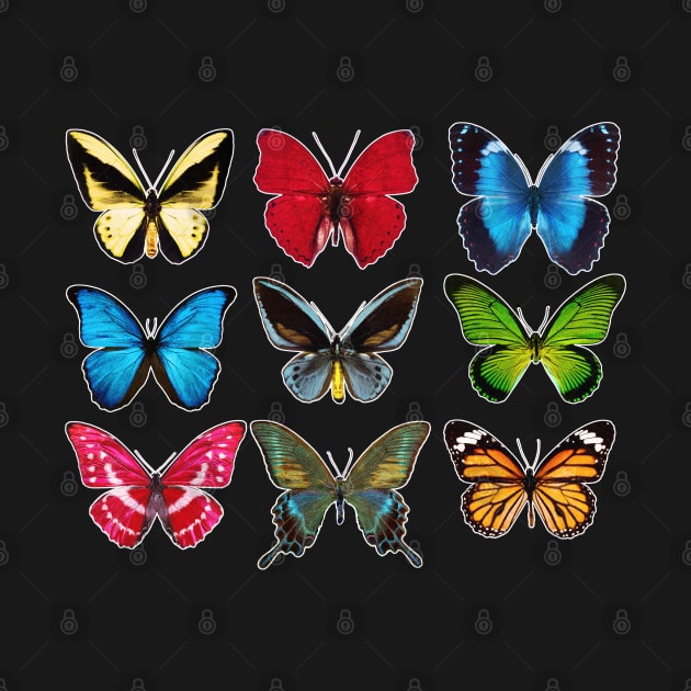 Butterflies Rows by KORAX