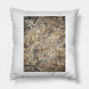 Geology Pillow