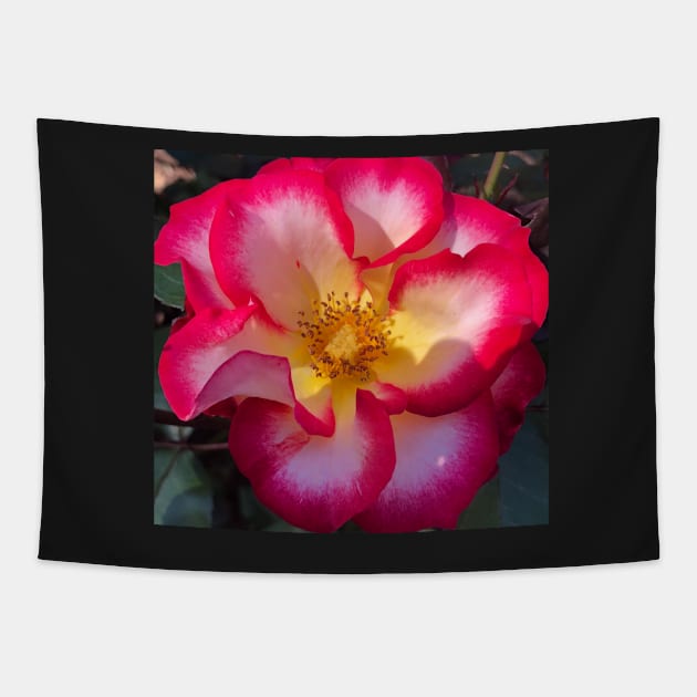 Red and Yellow Rose Tapestry by Photomersion