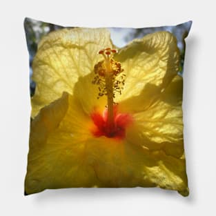 Basking Hibiscus Pillow