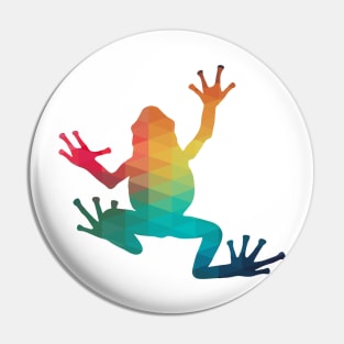 Rainbow frog Pin