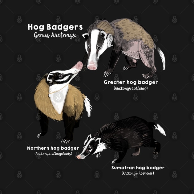 Hog Badger species #1 by belettelepink