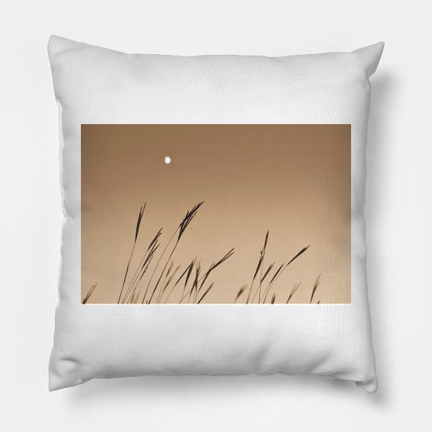 Moon on the Prairie Pillow by bgaynor