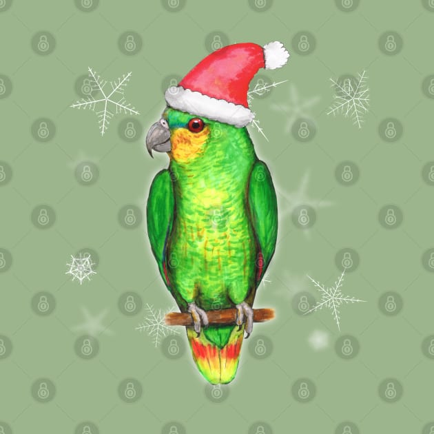 Christmas amazon parrot by Bwiselizzy