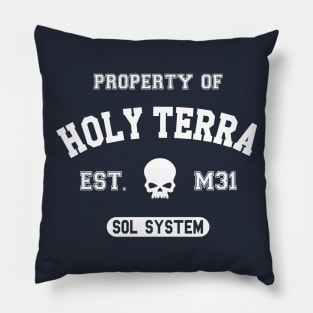 Property of Terra Pillow