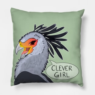 Clever Indeed Pillow