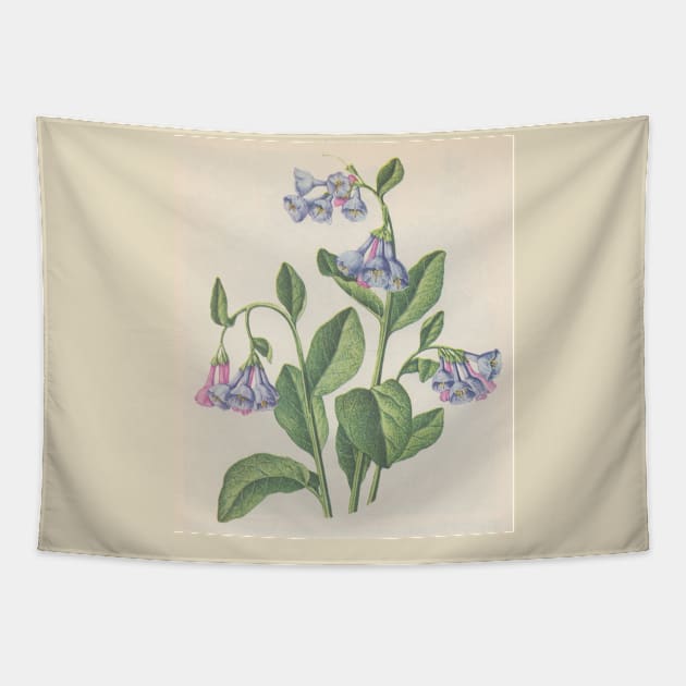 bluebell Tapestry by saoirse casey