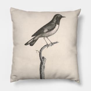 The Bluish Warbler Pillow