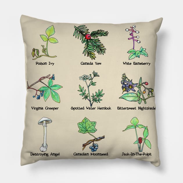 Posions Identification Pillow by ThisIsNotAnImageOfLoss