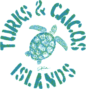 Turks & Caicos Islands Sea Turtle Magnet