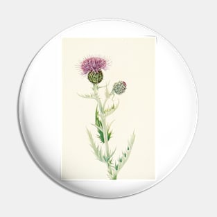 Prairie Thistle - Botanical Illustration Pin