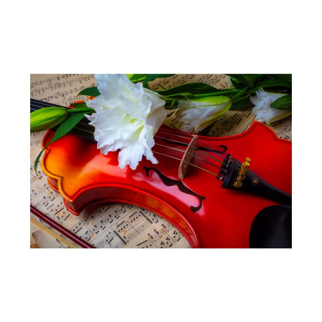 Oriental lily And  Baroque Violin by photogarry