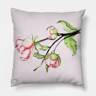 peony flowers.  watercolor Pillow