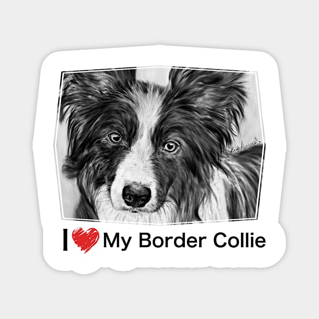 Border Collie Stare Magnet by BHDigitalArt