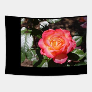 Dreamy Orange Rose Photograph Tapestry