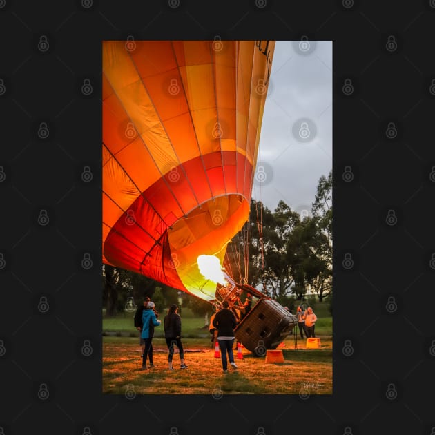 Hot Air Balloon, Yarra Valley, Victoria, Australia. by VickiWalsh