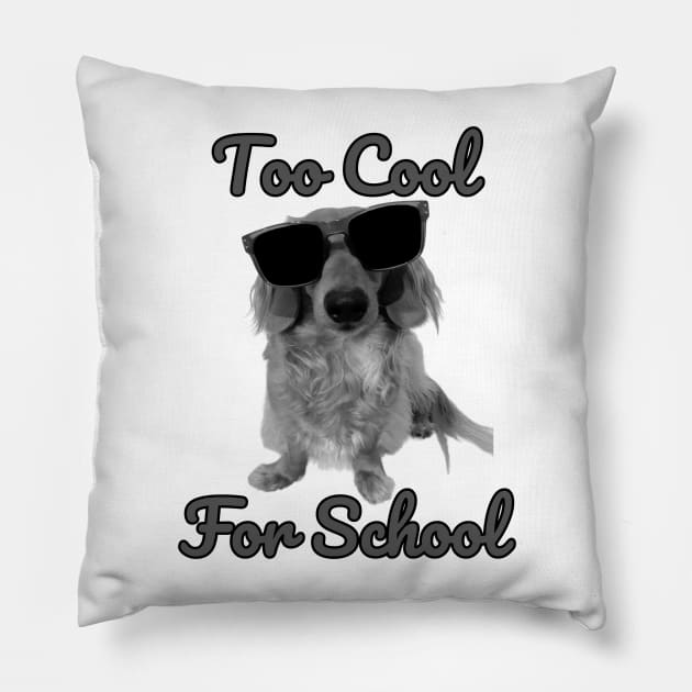 Too Cool For School Pillow by Forever Pawsome