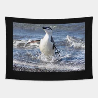 Chinstrap penguin coming back from fishing Tapestry