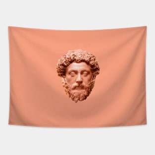 Marcus Aurelius Design Tapestry