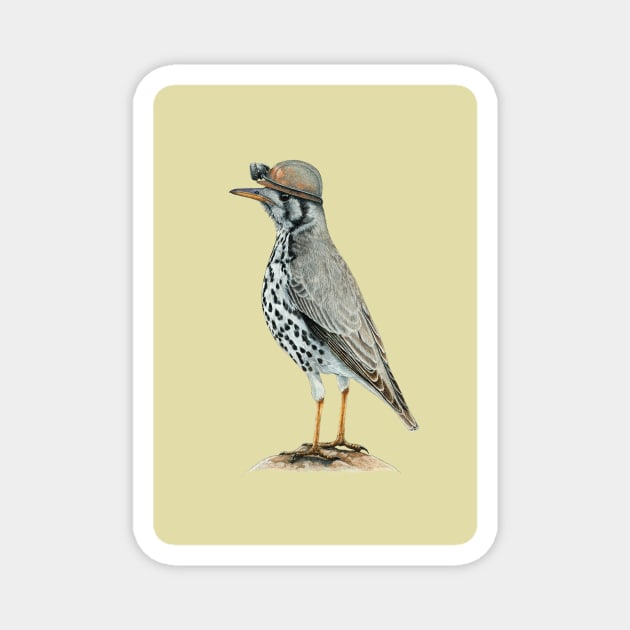 Groundscraper thrush Magnet by Mikhail Vedernikov