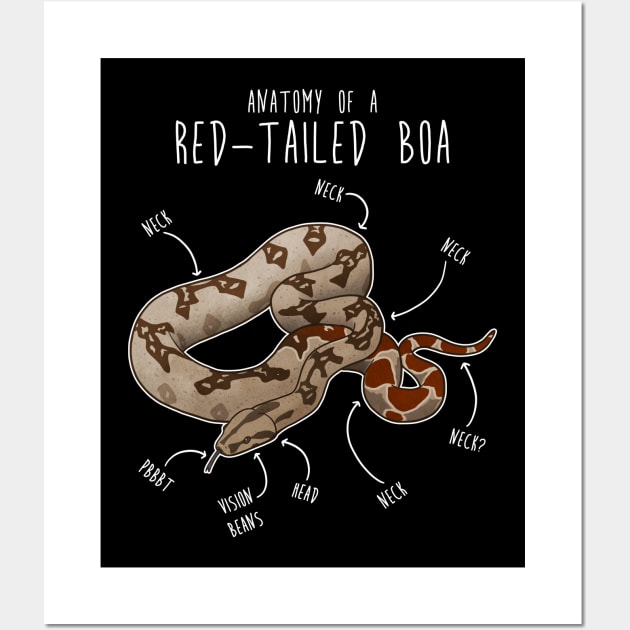 Illustration of a Boa Snake Snake Poster Snake Print Decor Top