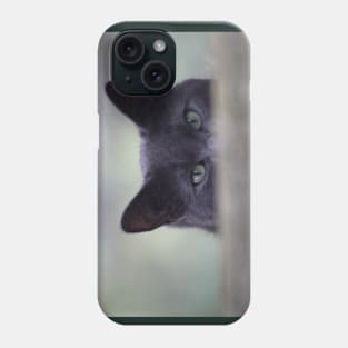 Scaredy-cat Phone Case