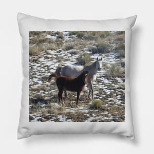 Wild horses, wildlife, gifts, desert, Arizona Pillow