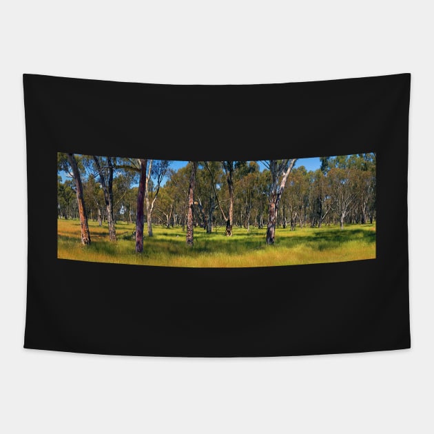 Eucalyptus - Near Bussellton Tapestry by pops