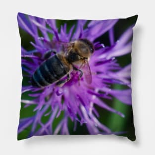 Bee On Purple Flower Pillow