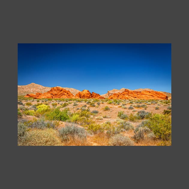 Valley of Fire State Park by Gestalt Imagery