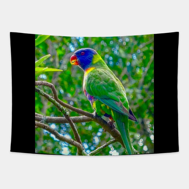 The Rainbow Lorikeet! Tapestry by Mickangelhere1