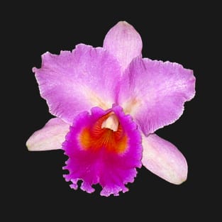 Orchid #7 T-Shirt