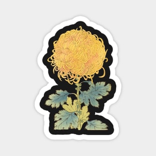 Gold Chrysanthemum - Hasegawa - Traditional Japanese style - Botanical Illustration Magnet