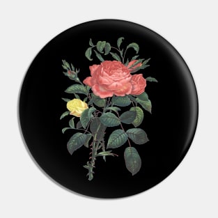 Rose Flowers Vintage Botanical Illustration Pin