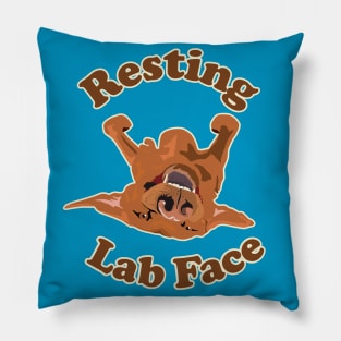 Rest Labrador Face Pillow