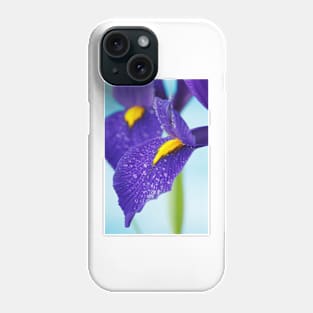 Iris  'Blue Pearl'  Dutch iris Phone Case