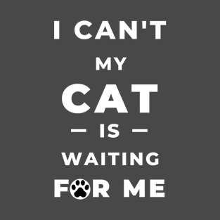 My cat is waiting for me T-Shirt