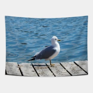 A Gull Standing On A Wooden Walkway Tapestry