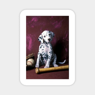 Dalmatian puppy with baseball Magnet