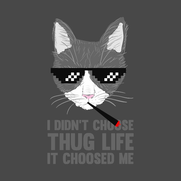 Thug Life CAT | I didn't choose THUG LIFE | Funny Cat by FLINE