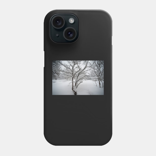 ... A freshly fallen silent shroud of snow Phone Case by wolftinz