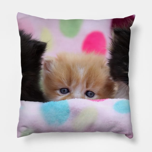 We're awake from hypersleep and ready for action! Pillow by micklyn